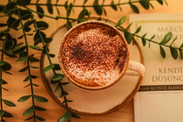 Discover unique jewelry boxes for every style and need